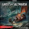 Desková hra D&D: Ghosts of Saltmarsh Board Game Expansion Premium Edition