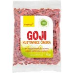 Wolfberry Goji Kustovnice čínská 100 g – Sleviste.cz