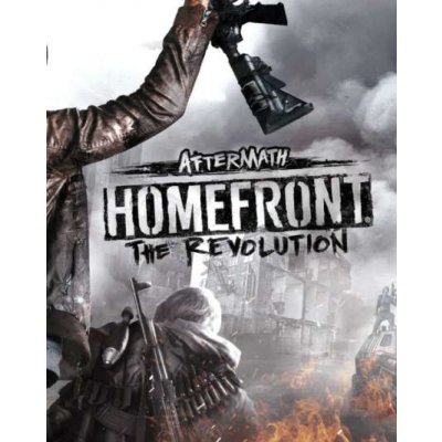 Homefront: The Revolution Aftermath