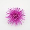 Květina Chryzantéma jehlicovitá lila 48 cm, balení 12 ks