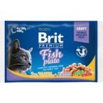 Brit Premium Cat Delicate Fillets in Gravy Cod fish Salmon and Trout 4 x 100 g – Sleviste.cz
