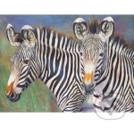 Malování podle čísel Zebry – Hledejceny.cz