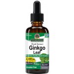 Nature's Answer Ginkgo Leaf Fluid Extract, ginkgo biloba, extrakt, 2000 mg, 60 ml – Hledejceny.cz