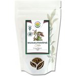 Salvia Paradise Tulsí bazalka posvátná mletá BIO 100 g – Hledejceny.cz