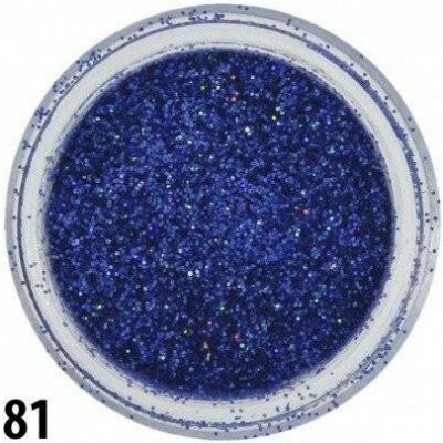 Allepaznokcie Glitrový prach 81 – Hledejceny.cz
