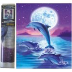 Norimpex diamantové malování Delfíni ve skoku 30 x 40 cm – Hledejceny.cz