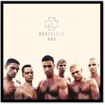 Rammstein - Herzeleid XXV Anniversary Edition - Remastered LP – Hledejceny.cz