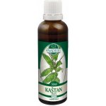 Naděje Kaštan pravý tinktura z pupenů rostlin 50 ml – Hledejceny.cz