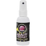 Mainline Bait Spray Atraktant Chocolate Orange Fizz 50 ml – Zboží Dáma