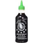 Hoisin omáčka Flying Goose 455 ml – Zboží Dáma