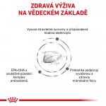 Royal Canin Veterinary Diet Cat Gastrointestinal 0,4 kg – Zboží Dáma
