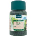 Kneipp sůl do koupele Mindful Forest 500 g – Zbozi.Blesk.cz