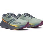 Saucony Triumph 22 Gtx Sage/Carbon – Sleviste.cz