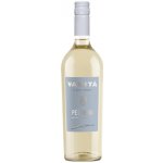 Vanita Pecorino Terre di Chieti IGT 2024 12,5% 0,75 l (holá láhev) – Sleviste.cz