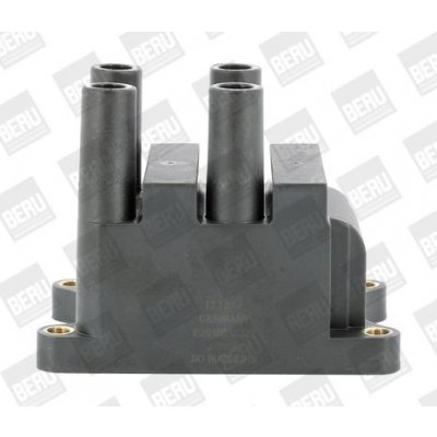 Zapalovací cívka BorgWarner (BERU) ZS556 – Hledejceny.cz