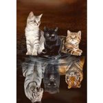 Figured ART Diamantové malování KOŤATKO V ODRAZU 40 x 50 cm bez rámu – Sleviste.cz