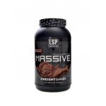 LSP nutrition Massive X weight gainer 1200 g – Zboží Mobilmania