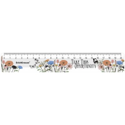 Maped Geometric 242020 plastové pravítko 20 cm – Zbozi.Blesk.cz