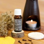 Tierra Verde Esenciální olej BIO Hřebíček 10 ml – Zboží Mobilmania