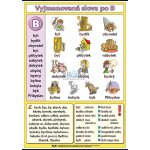 nakladatelství Kupka Vyjmenovaná slova po B A3 (42x30 cm), bez lišt – Zboží Dáma