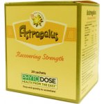 TNT 21 Astragalus Kozinec blanitý 20 sáčků celkem 60 g – Hledejceny.cz