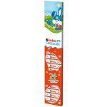 Ferrero Kinder Chocolate 300 g – Zbozi.Blesk.cz