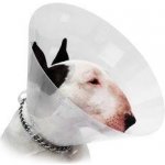 Cvet Límec ochranný transparent 20 cm 1 ks – Zboží Dáma