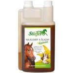 Waldhausen Sirup bylinný na klouby a šlachy 1 l – Zbozi.Blesk.cz