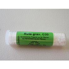 Narayana verlag Ruta graveolens 30C 5 g