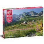 Cherry Pazzi Gąsienicowa dolina Vysoké Tatry 1000 dílků – Hledejceny.cz
