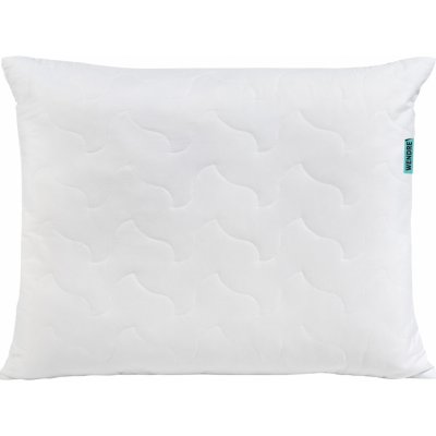 Ridder Polštář Aloe Vera 70x90 – Zboží Mobilmania