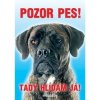 Autovýbava Grel nálepka pozor pes italský mastif žíhaný