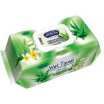 Fresh Air Vlhčené Ubrousky Aloe Vera 100 ks – Zboží Dáma