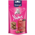 Vitakraft Cat Yums Superfood kachna bezinka 40 g – Sleviste.cz