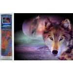 Norimpex Diamantové malování Vlčí pohled 30 x 40 cm – Hledejceny.cz