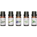Pure Rio 100% set esenciálních olejů 5 x 10 ml – Hledejceny.cz