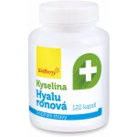 Wolfberry Kyselina hyaluronová 120 kapslí – Zboží Mobilmania