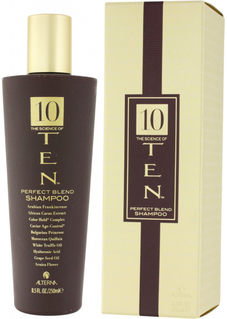 Alterna Ten Perfect Blend Shampoo 250 ml od 1 188 Kč - Heureka.cz