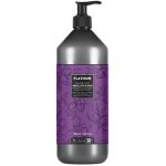 Black Platinum Absolute Blond Shampoo s extraktem s organických mandlí 1000 ml – Zbozi.Blesk.cz