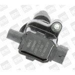 Zapalovací cívka BorgWarner (BERU) ZS429 – Hledejceny.cz