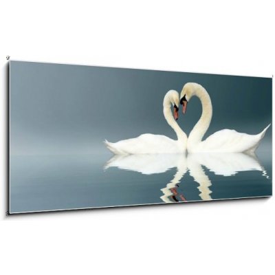 Obraz 1D panorama - 120 x 50 cm - Love Swans swan heart Amor – Zbozi.Blesk.cz