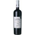 Château Saint-Hilaire Médoc Cru Bourgeois Supérieur suché červené 2019 13,5% 0,75 l (holá láhev) – Hledejceny.cz