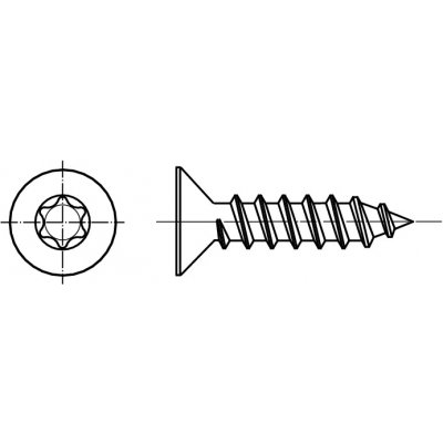 PROFISTYL DIN 7982C šroub do plechu se zápustnou hlavou TORX (ostrá špička) pozink Varianta: DIN 7982C šroub do plechu zápustná hlava TORX ZnB 4,8x50 – Hledejceny.cz