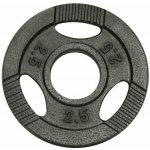 Gorilla Sports litina 2,5 kg 185 mm – Hledejceny.cz