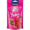 Vitakraft Pamlsek pro kočky Cat Yums Superfood bezinky 40 g