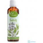 Serafin tinktura z bylin Šalvěj 50 ml – Hledejceny.cz