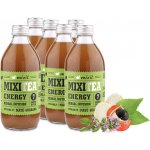 Mixit MixiTea Energy 7 bylin 330 ml – Zboží Mobilmania