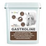 Dromy Gastroline 3000 g