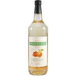 LOR Prádelská Medová Hruška 35% 1 l (holá láhev) – Zboží Dáma