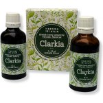 Ondřej Ullrich Clarkia tinktura proti hlístům 2 x 50 ml – Hledejceny.cz